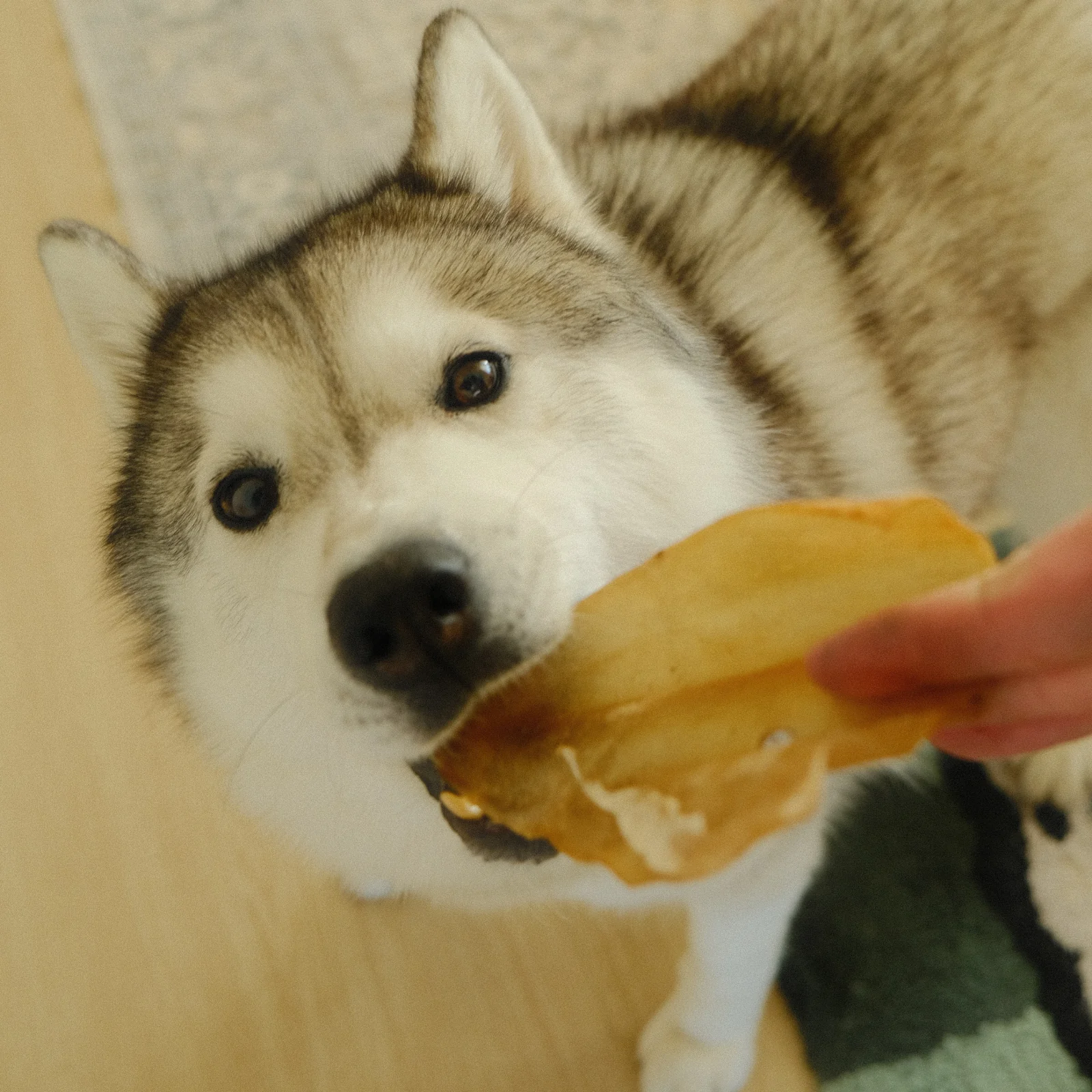 Thumbnail 10