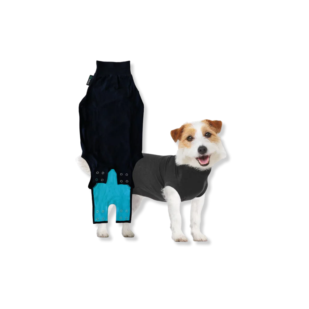 Thumbnail 7